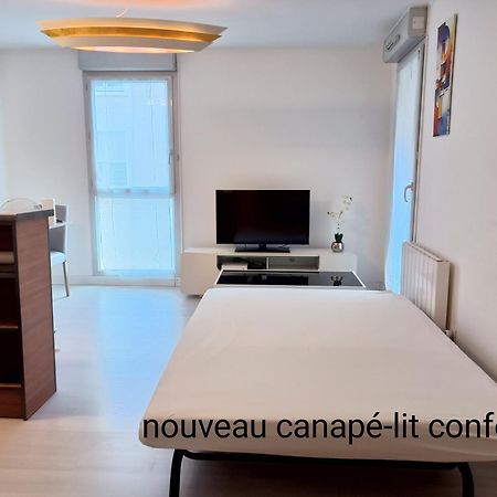 Ravissant Appartement T2 Proche Autoroute Et Centre-Ville Villefranche-sur-Saône Dış mekan fotoğraf