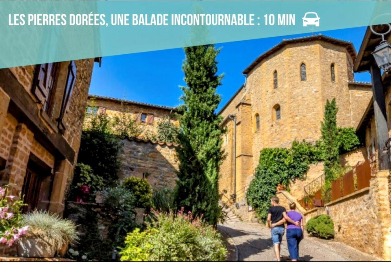 Ravissant Appartement T2 Proche Autoroute Et Centre-Ville Villefranche-sur-Saône Dış mekan fotoğraf