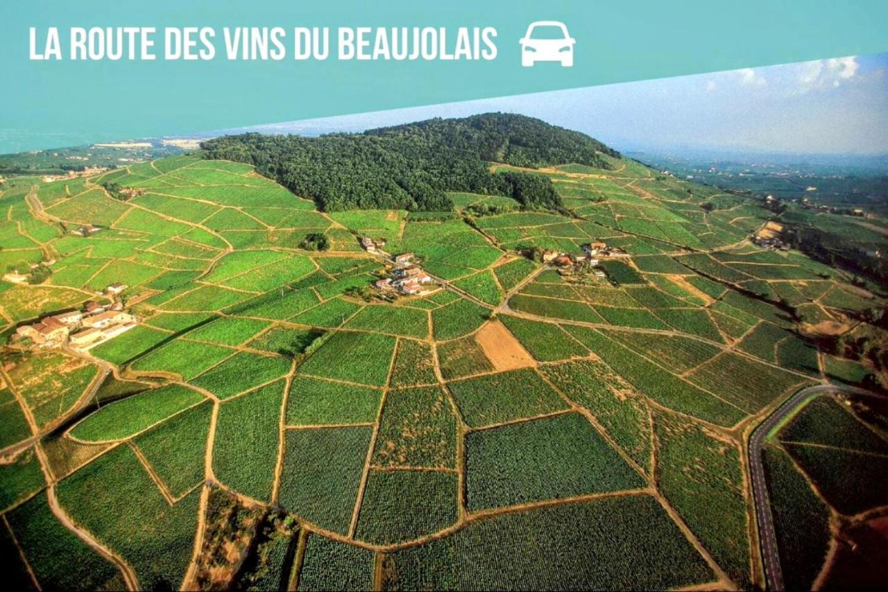 Ravissant Appartement T2 Proche Autoroute Et Centre-Ville Villefranche-sur-Saône Dış mekan fotoğraf